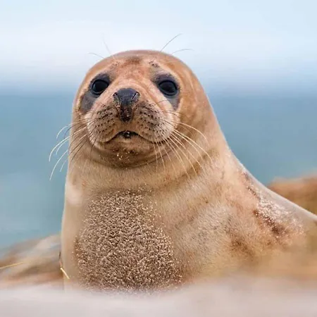 Les Portes De La Baie Holiday home Grand-Laviers
