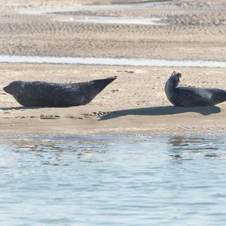 Les Portes De La Baie Grand-Laviers