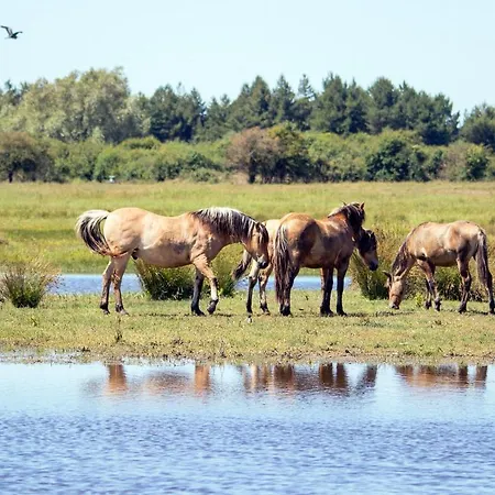 Holiday home Les Portes De La Baie Grand-Laviers